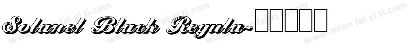 Solanel Black Regula字体转换
